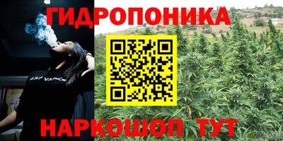 ПСИЛОЦИБИНОВЫЕ ГРИБЫ Новозыбков